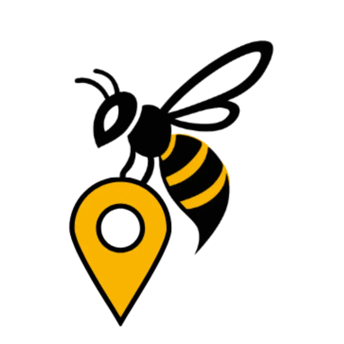 Frelon asiatique sur une carte